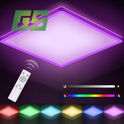 Multi Color Custom Living Room  Color Indoor Decorate LED Light  Panel With Acrylic Materical DC12 V